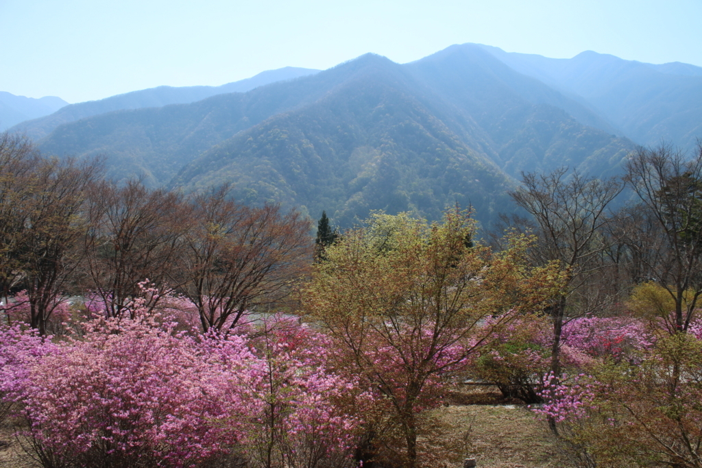 f:id:KOGE-KUN:20180423132435j:plain f:id:KOGE-KUN:20180423132435j:plain