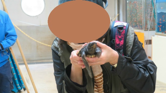 f:id:KOGE-KUN:20190417125334j:plain f:id:KOGE-KUN:20190417125334j:plain
