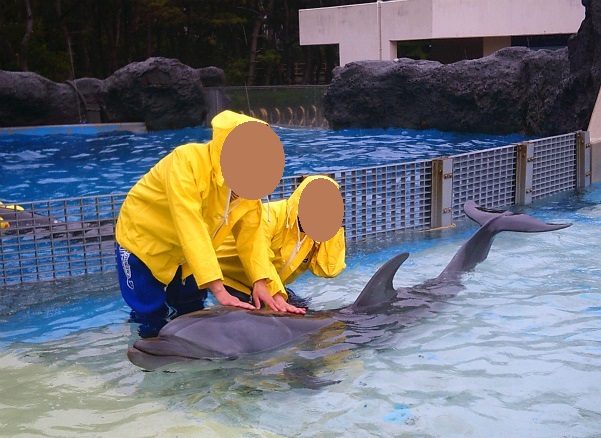 f:id:KOGE-KUN:20190417125838j:plain f:id:KOGE-KUN:20190417125838j:plain