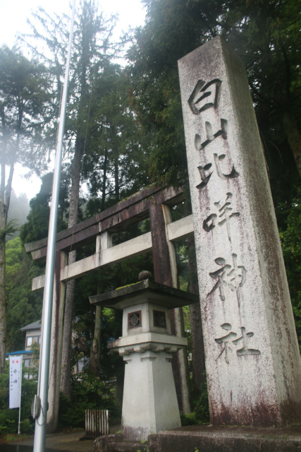 f:id:KOGE-KUN:20190508152541j:plain f:id:KOGE-KUN:20190508152541j:plain