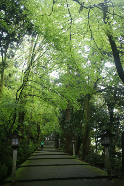 f:id:KOGE-KUN:20190508152556j:plain f:id:KOGE-KUN:20190508152556j:plain