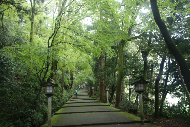 f:id:KOGE-KUN:20190508152609j:plain f:id:KOGE-KUN:20190508152609j:plain
