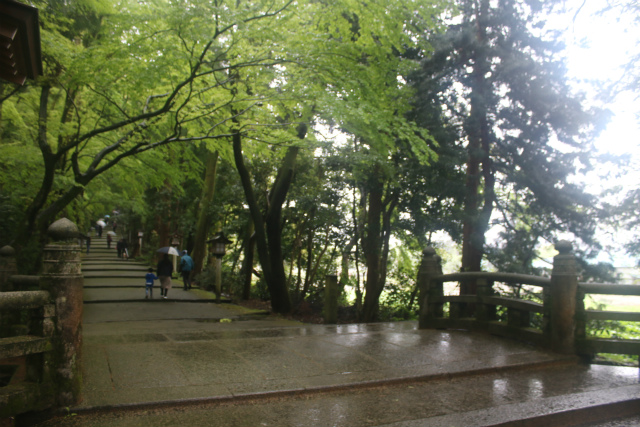 f:id:KOGE-KUN:20190508152623j:plain f:id:KOGE-KUN:20190508152623j:plain