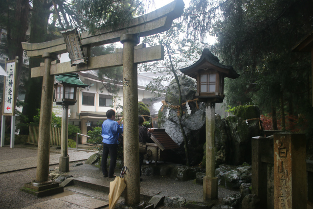 f:id:KOGE-KUN:20190508152852j:plain f:id:KOGE-KUN:20190508152852j:plain