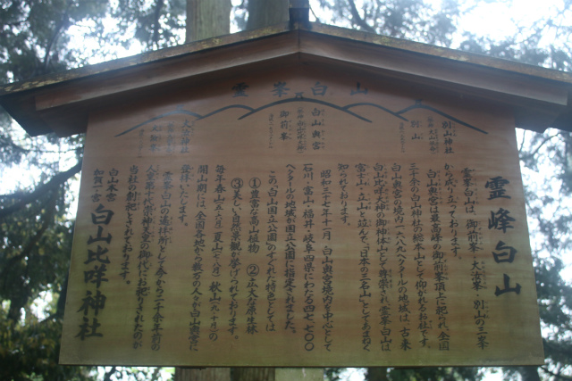 f:id:KOGE-KUN:20190508152930j:plain f:id:KOGE-KUN:20190508152930j:plain