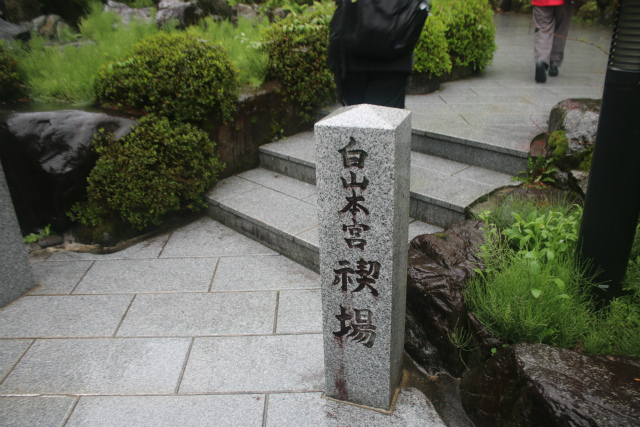f:id:KOGE-KUN:20190508152944j:plain f:id:KOGE-KUN:20190508152944j:plain