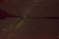 20160117160850