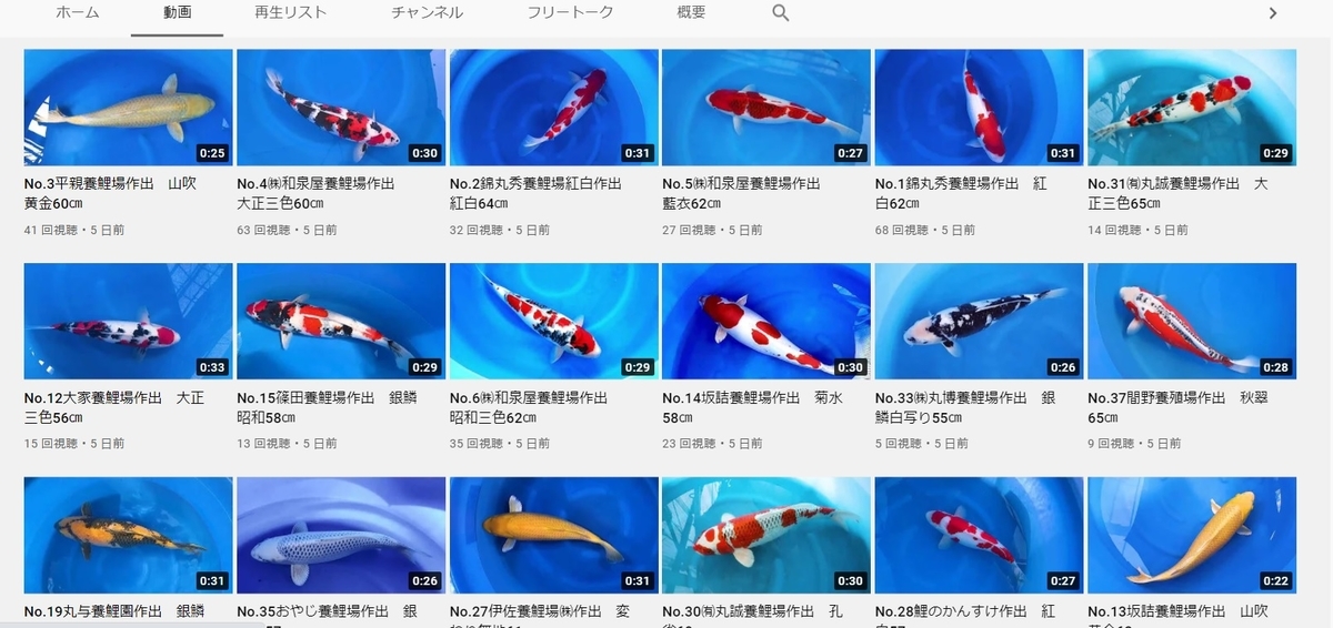 f:id:KOISHOWJP:20210719180658j:plain