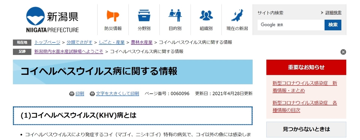 f:id:KOISHOWJP:20211022153651j:plain