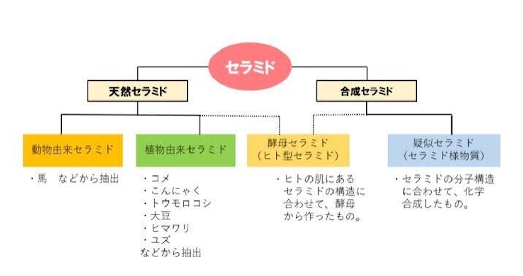 f:id:KOMOri:20201213154145j:image