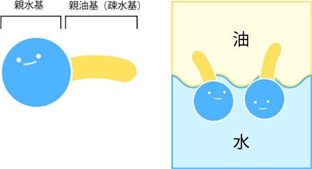 f:id:KOMOri:20201226233836j:image