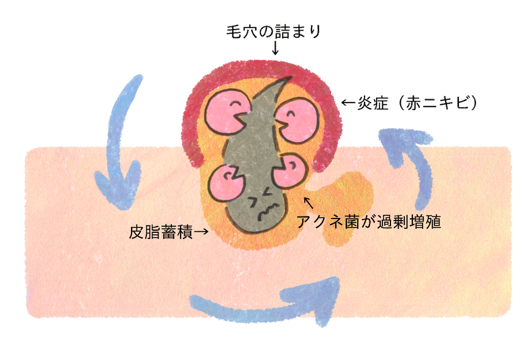 f:id:KOMOri:20201227101004p:image
