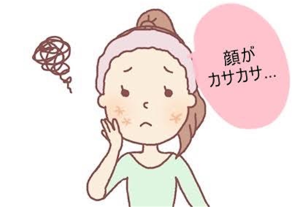 f:id:KOMOri:20201227101645j:image