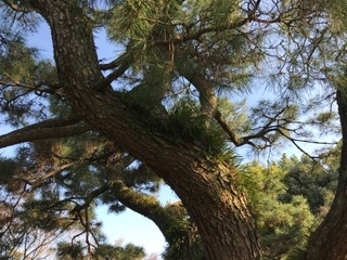 f:id:KONANN1997:20180326202130j:plain f:id:KONANN1997:20180326202130j:plain