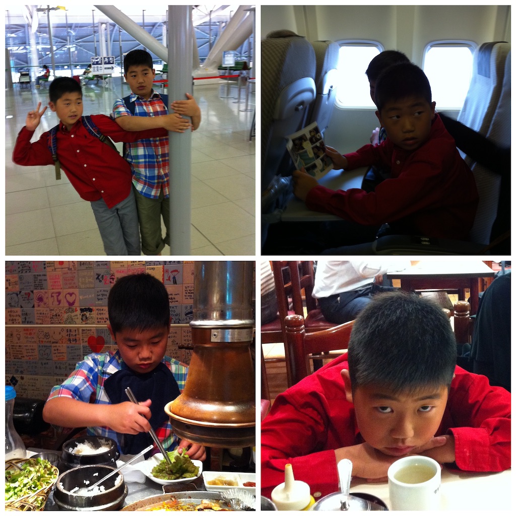 f:id:KORANIKATARUTOKIDOKI:20200524085841j:plain