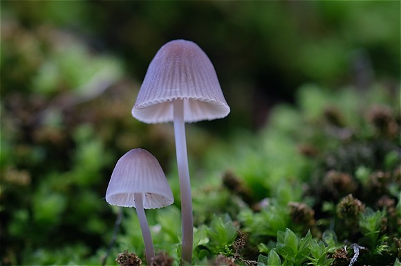 s-DSCF3764.jpg