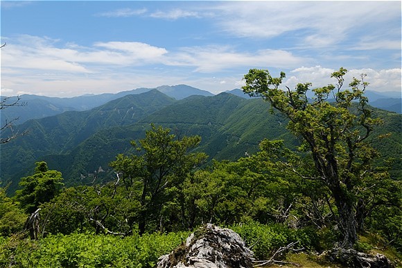 s-DSCF3917.jpg