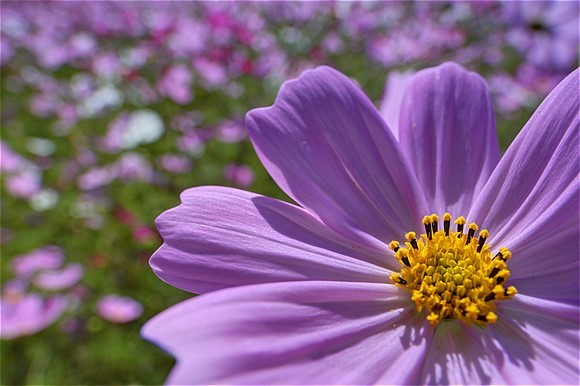 s-DSCF5030.jpg