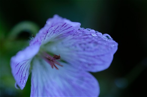 s-DSCF5095.jpg
