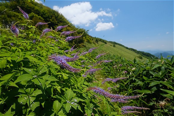 s-DSCF5135.jpg