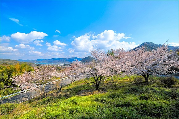 s-DSCF7655.jpg