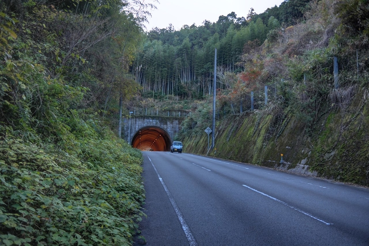 f:id:KOTARO-PARADISE:20201201093711j:plain