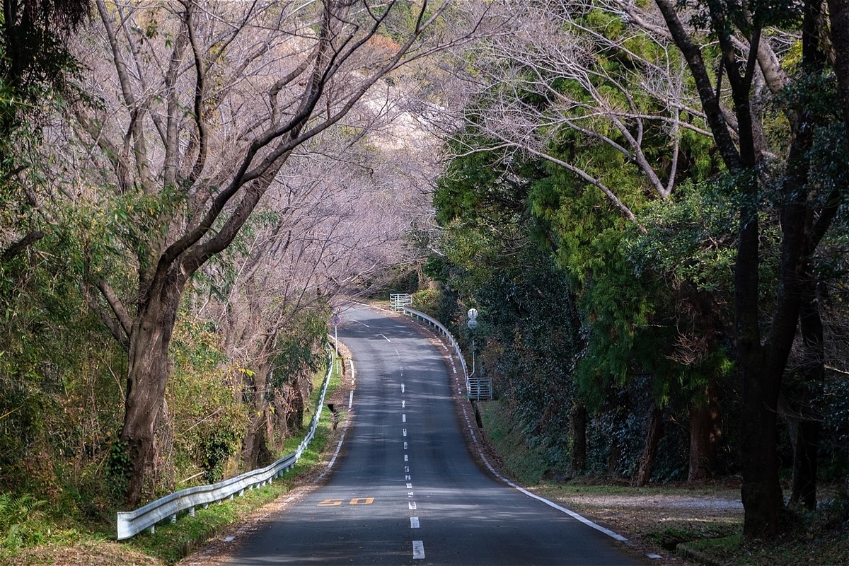 f:id:KOTARO-PARADISE:20201222163446j:plain