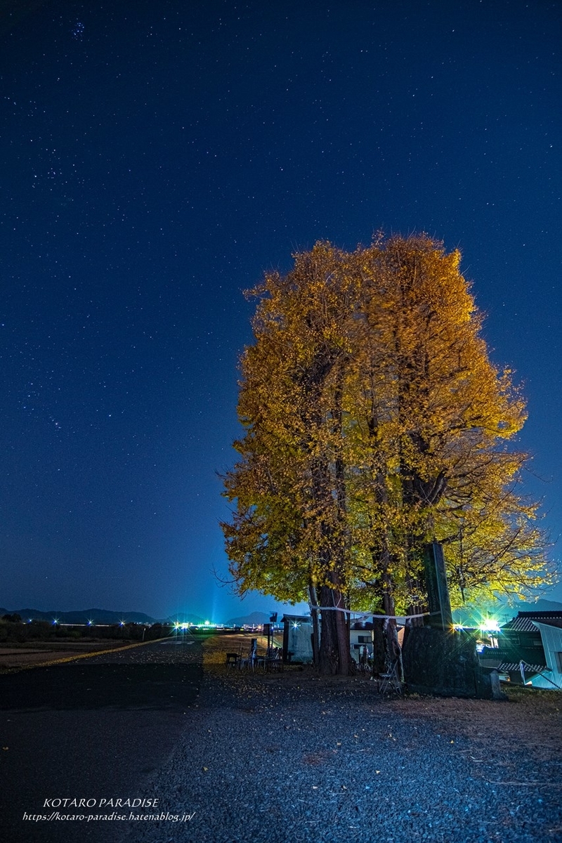 f:id:KOTARO-PARADISE:20201223091615j:plain