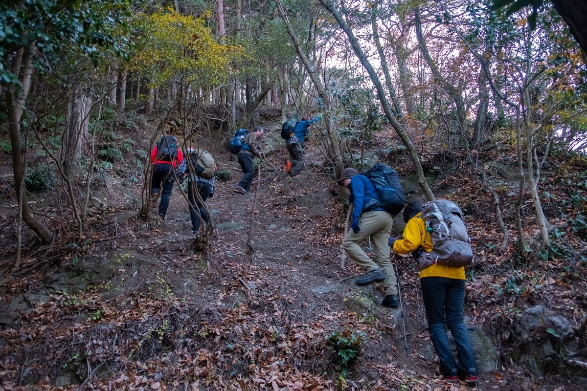 f:id:KOTARO-PARADISE:20201230085949j:plain