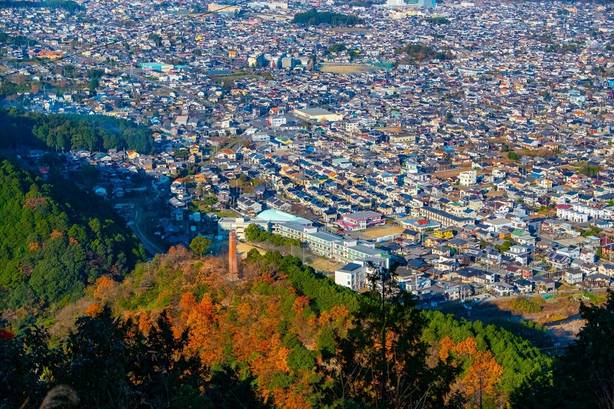 f:id:KOTARO-PARADISE:20201230090127j:plain