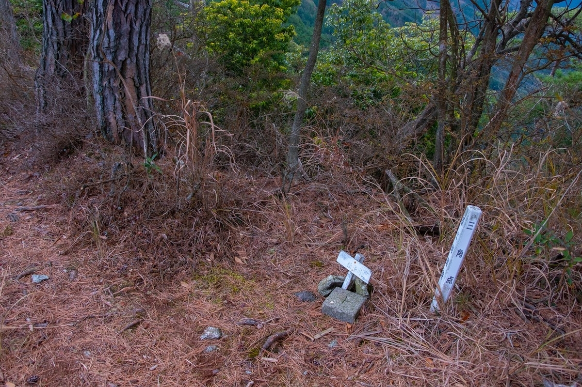 f:id:KOTARO-PARADISE:20201230090435j:plain