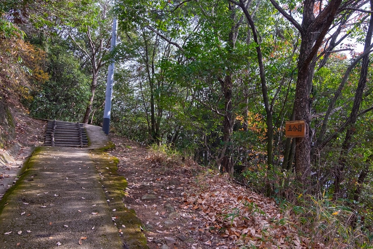 f:id:KOTARO-PARADISE:20201230152213j:plain