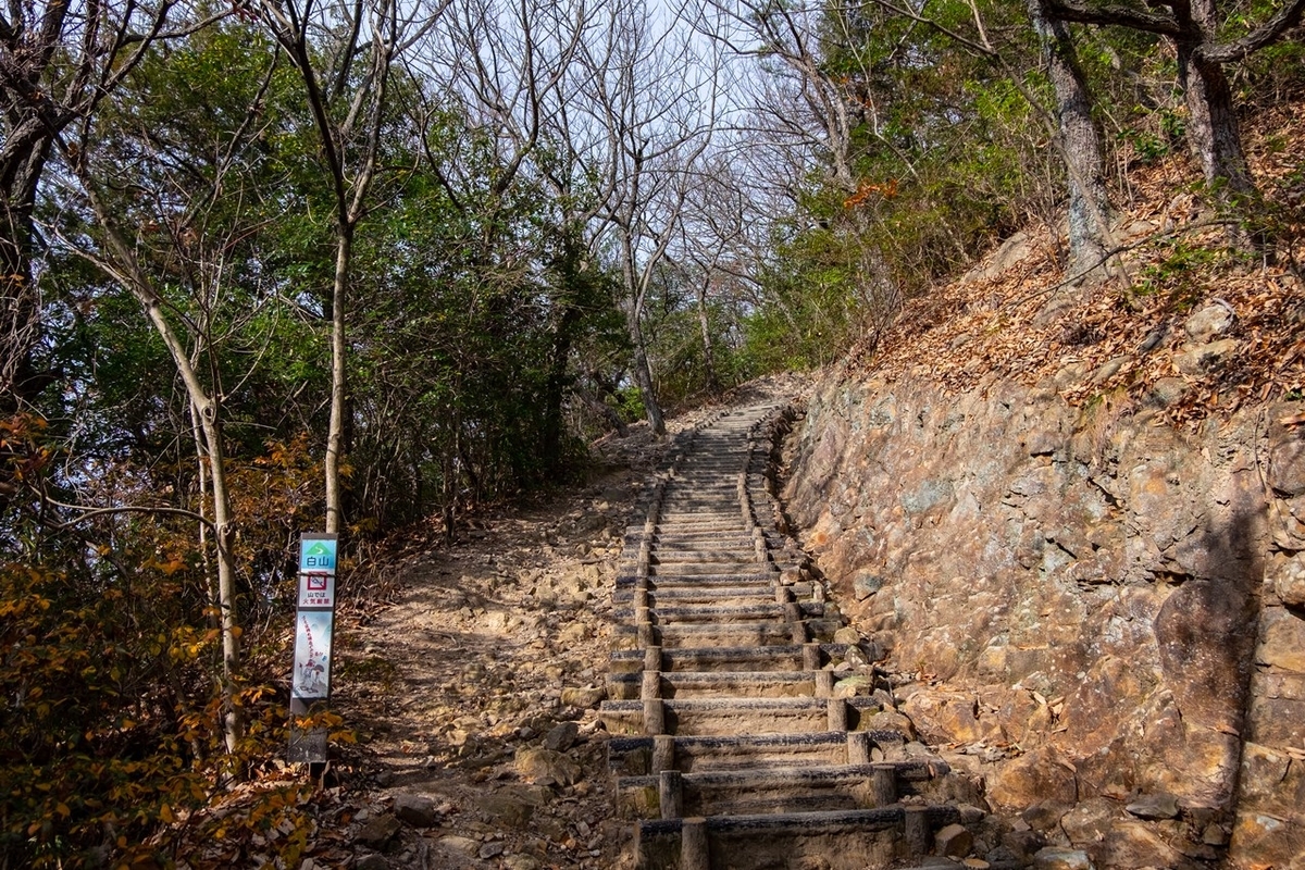 f:id:KOTARO-PARADISE:20201230152259j:plain