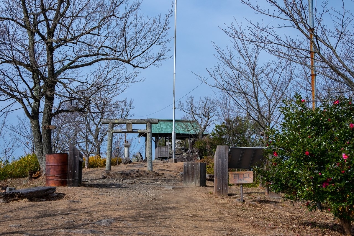 f:id:KOTARO-PARADISE:20201230152412j:plain
