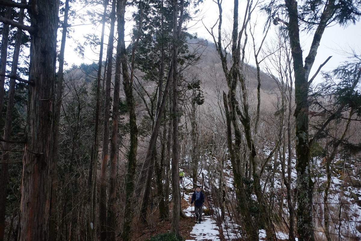 f:id:KOTARO-PARADISE:20210117120328j:plain