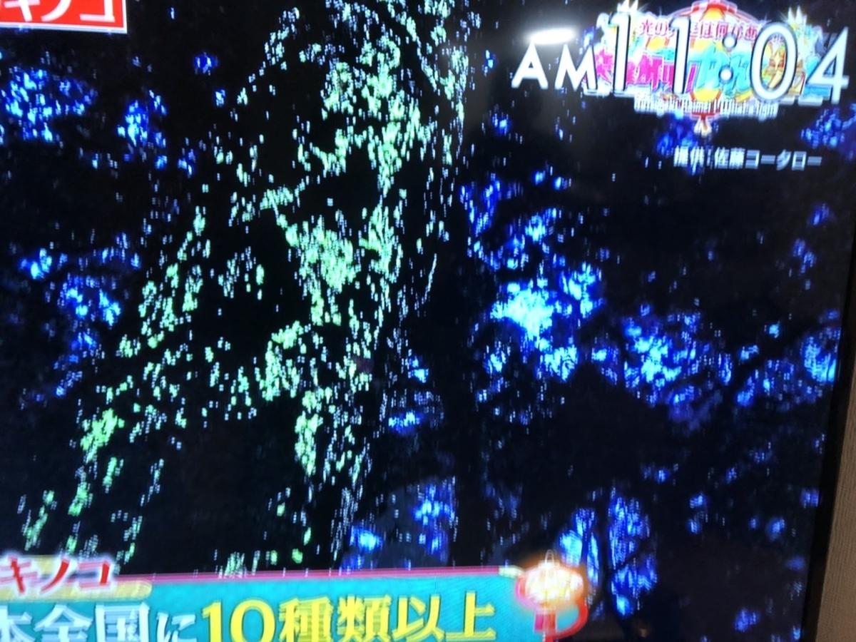 光の先には何がある 突撃解明 なんて光だ 21 1 23 Kotaro Paradise 光の先には何がある 突撃解明 なんて光だ 21 1 23 Kotaro Paradise