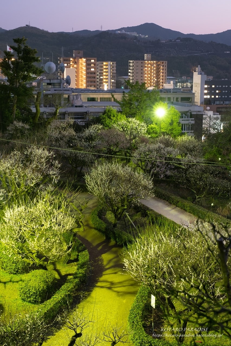 f:id:KOTARO-PARADISE:20210222150627j:plain