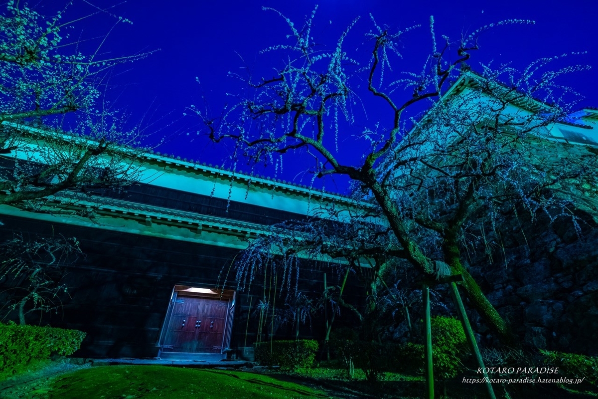 f:id:KOTARO-PARADISE:20210222151259j:plain
