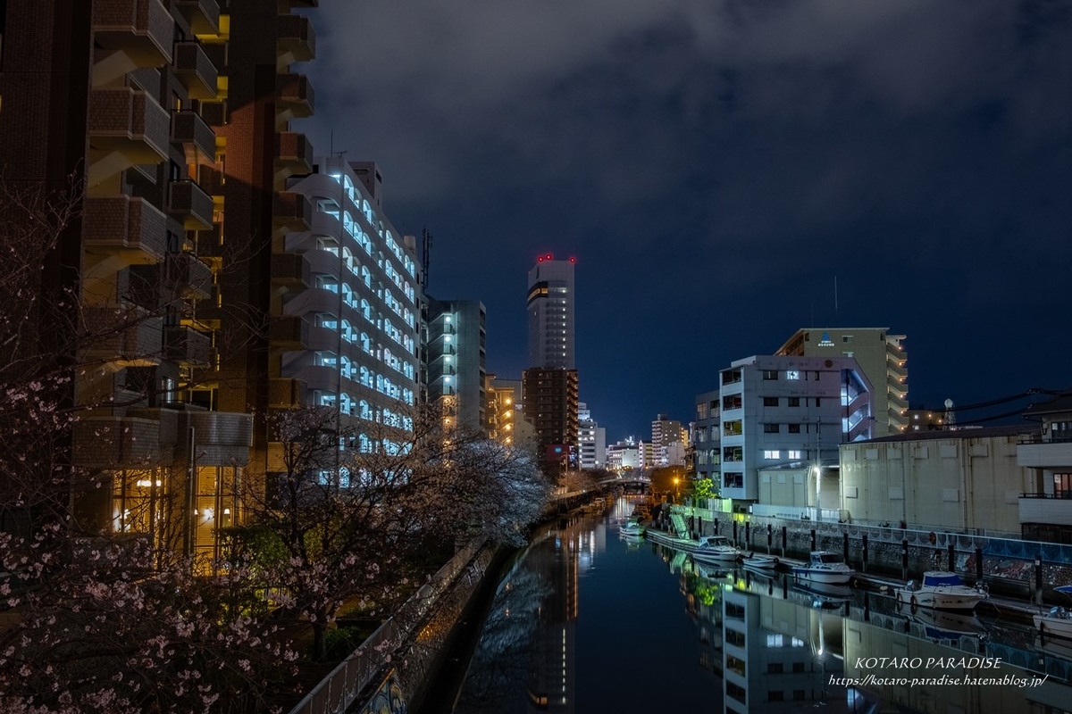 f:id:KOTARO-PARADISE:20210324220630j:plain