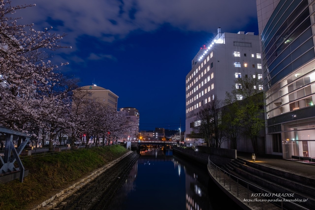 f:id:KOTARO-PARADISE:20210324220931j:plain
