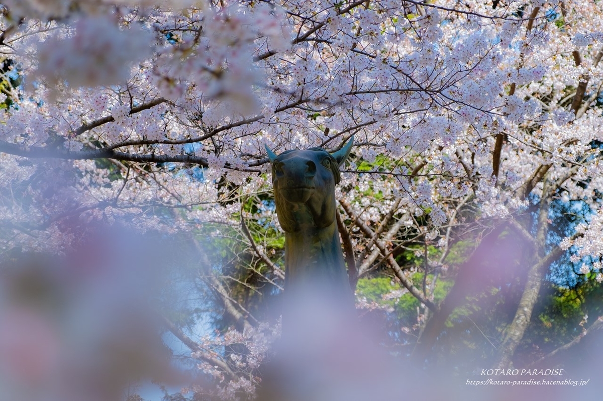 f:id:KOTARO-PARADISE:20210329134022j:plain