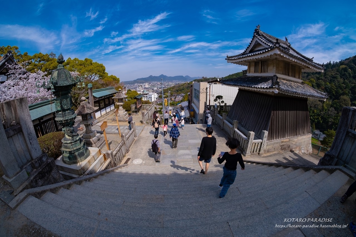 f:id:KOTARO-PARADISE:20210329134435j:plain