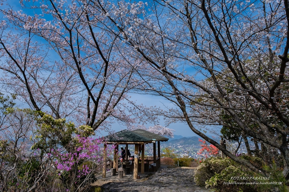f:id:KOTARO-PARADISE:20210329134534j:plain