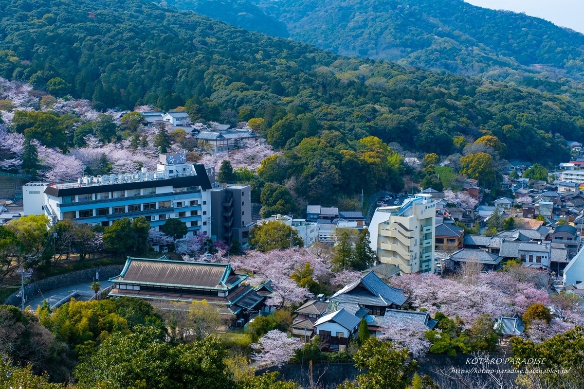 f:id:KOTARO-PARADISE:20210329134631j:plain