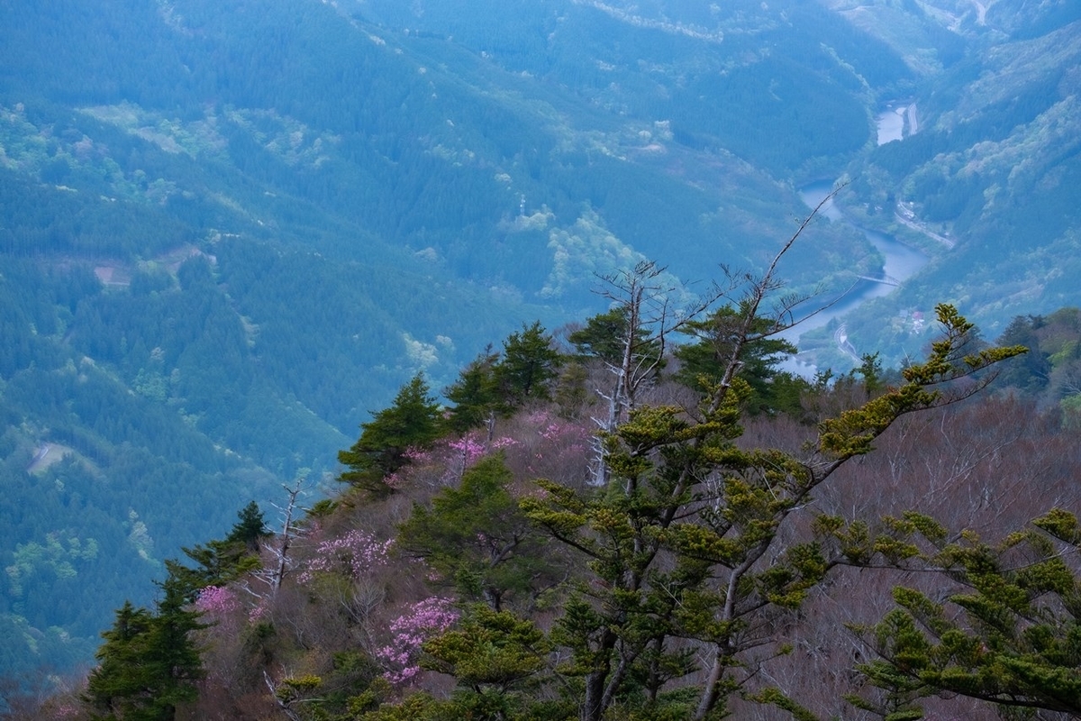 f:id:KOTARO-PARADISE:20210502202640j:plain