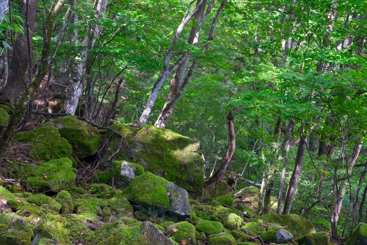 f:id:KOTARO-PARADISE:20210927172703j:plain