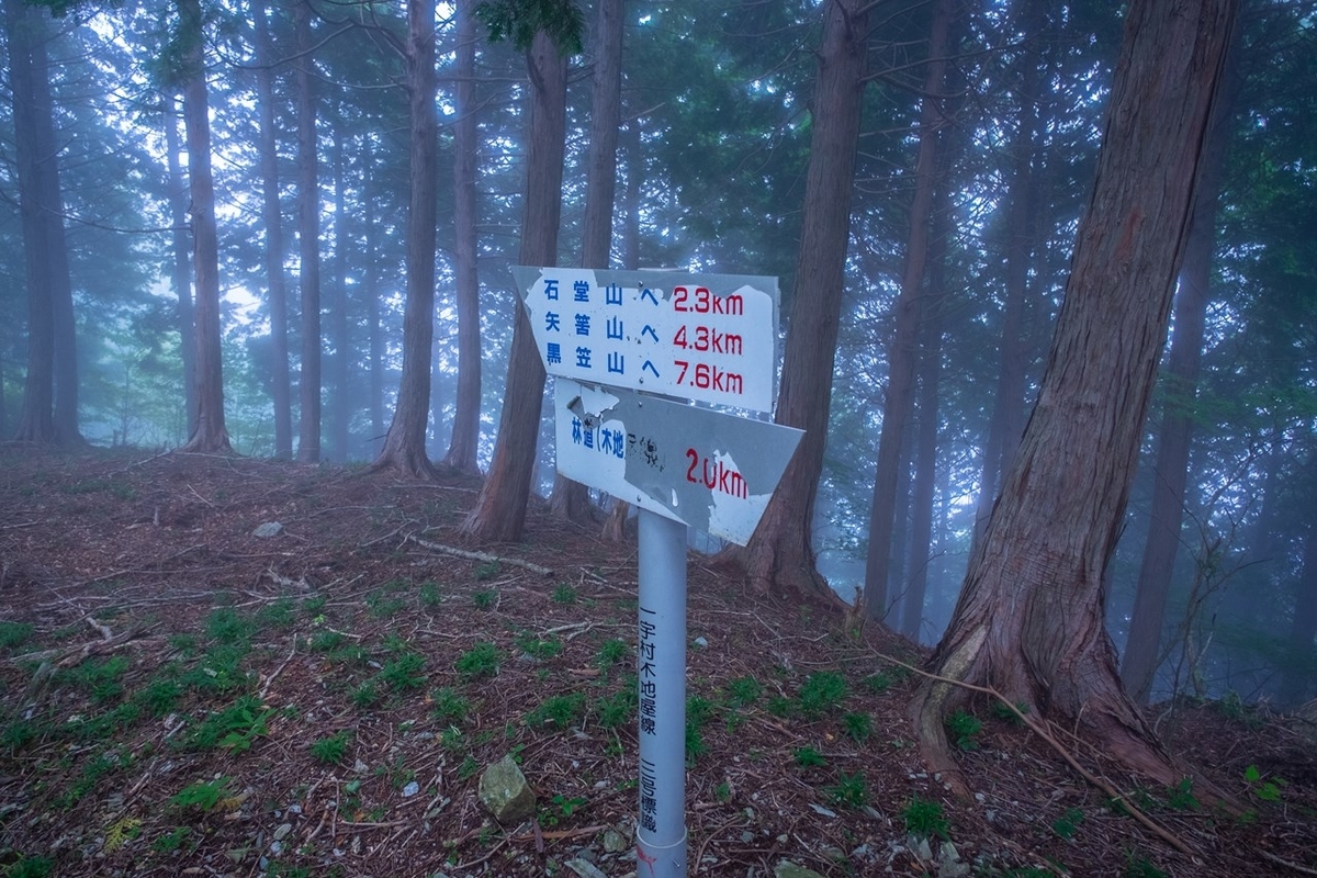 f:id:KOTARO-PARADISE:20210927172910j:plain