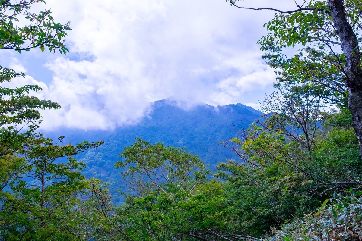 f:id:KOTARO-PARADISE:20210927173340j:plain