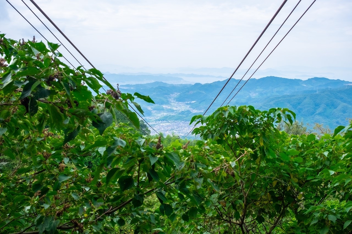f:id:KOTARO-PARADISE:20210928112059j:plain