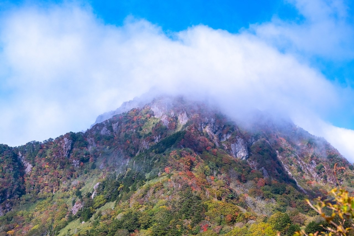 f:id:KOTARO-PARADISE:20211011222521j:plain
